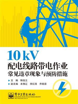 10kV配电线路带电作业常见违章现象与预防措施