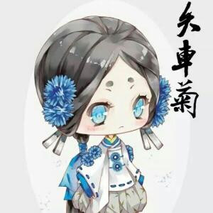 矢车菊