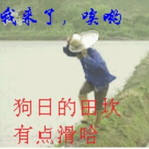 书狂