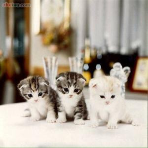 遥望过去的孩子