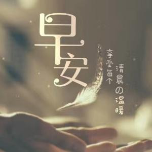 蛋蛋的忧伤