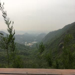 冷年流海