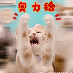 拥抱太阳的月亮