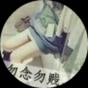 羽翼翱翔