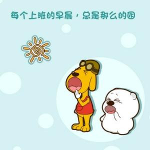 花需绿叶的烘托