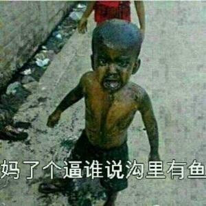 枫叶