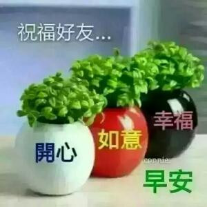 蓝色妖姬