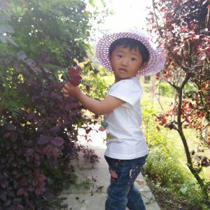 丿风车车丶丶丶
