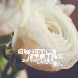宁凡不仙