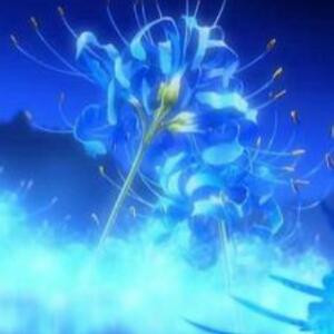 紫蓝色的小花