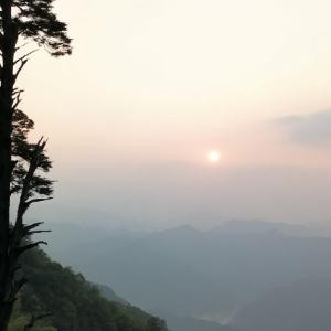 蓝魔