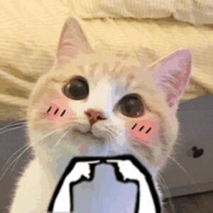 可遇