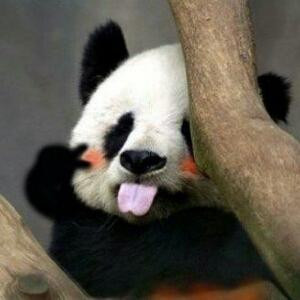 素色苦指·荏