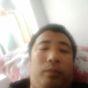 书虫