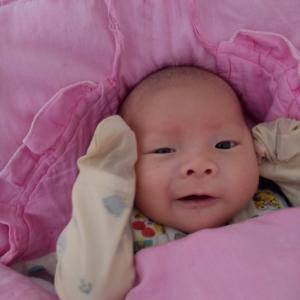 叶子