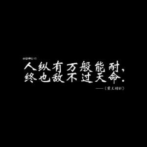 魅影出手