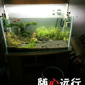 小书痴