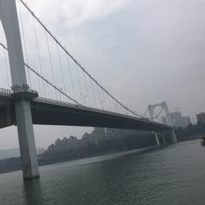 为爱而生