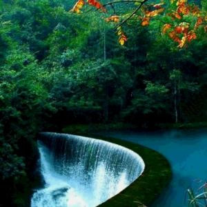 被风吹过的夏天