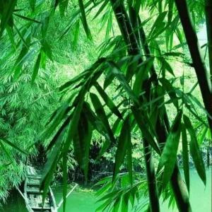 格局