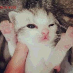 LOVE成殇