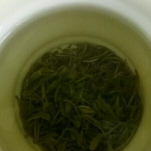 谁家凤凰独风流