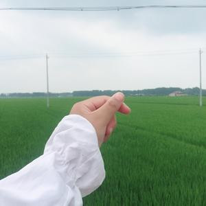 爱