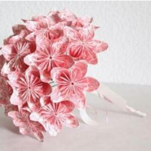 一朵蔷薇花