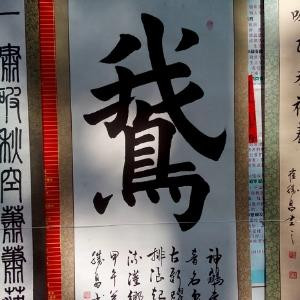 真情永远
