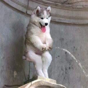 夜夜读书