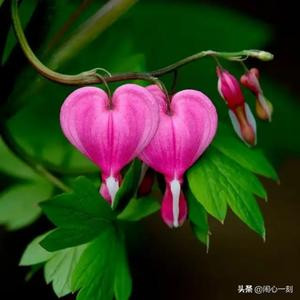 静悟流年