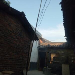 CJF