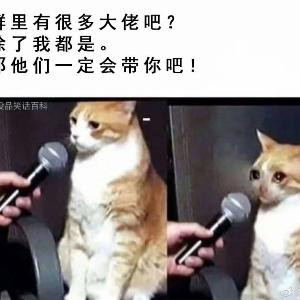 大佬
