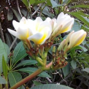 雨后的彩霞的