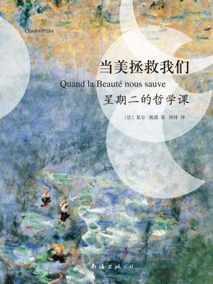 当美拯救我们：星期二的哲学课