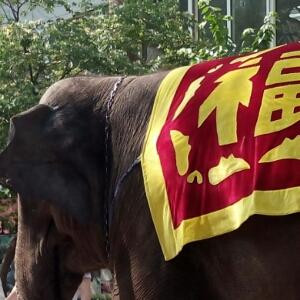 姐姐我要发