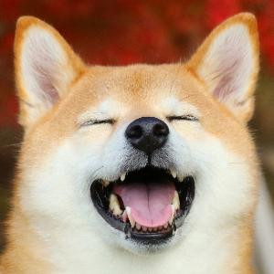 海边的蜗牛