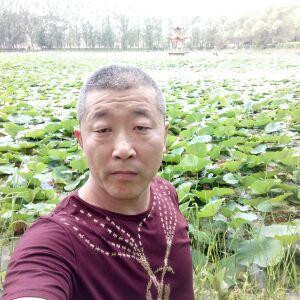 心亦殇