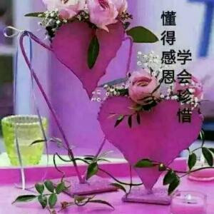 ＊忘忧草＊