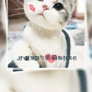 暖了夏天蓝了海