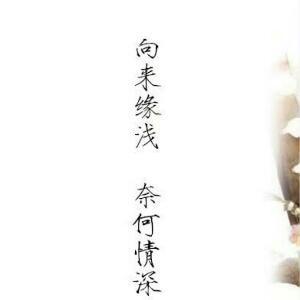 爱掌阅