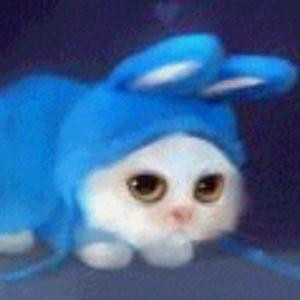 月老越老越无情