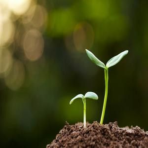 时光未老‖有你刚好