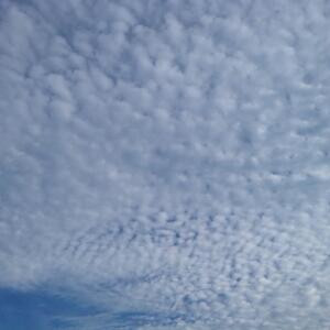 lovesky