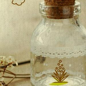 生活处处有阳光