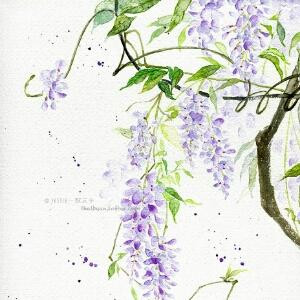 沐曦
