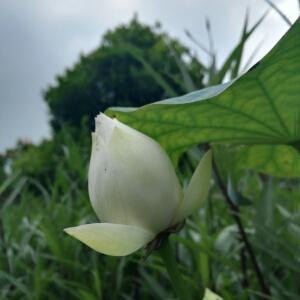 i婷婷