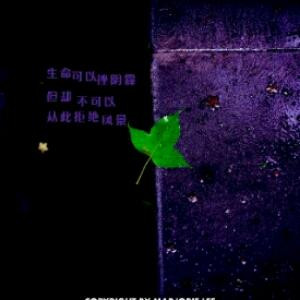 海阔天空