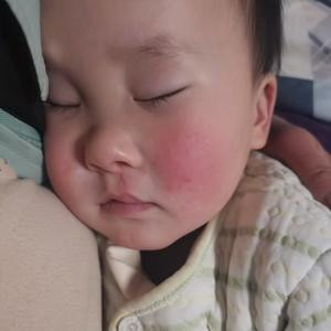 小小一只吞金兽