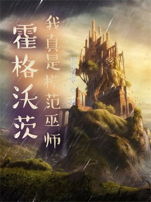 霍格沃茨:我真是模范巫师